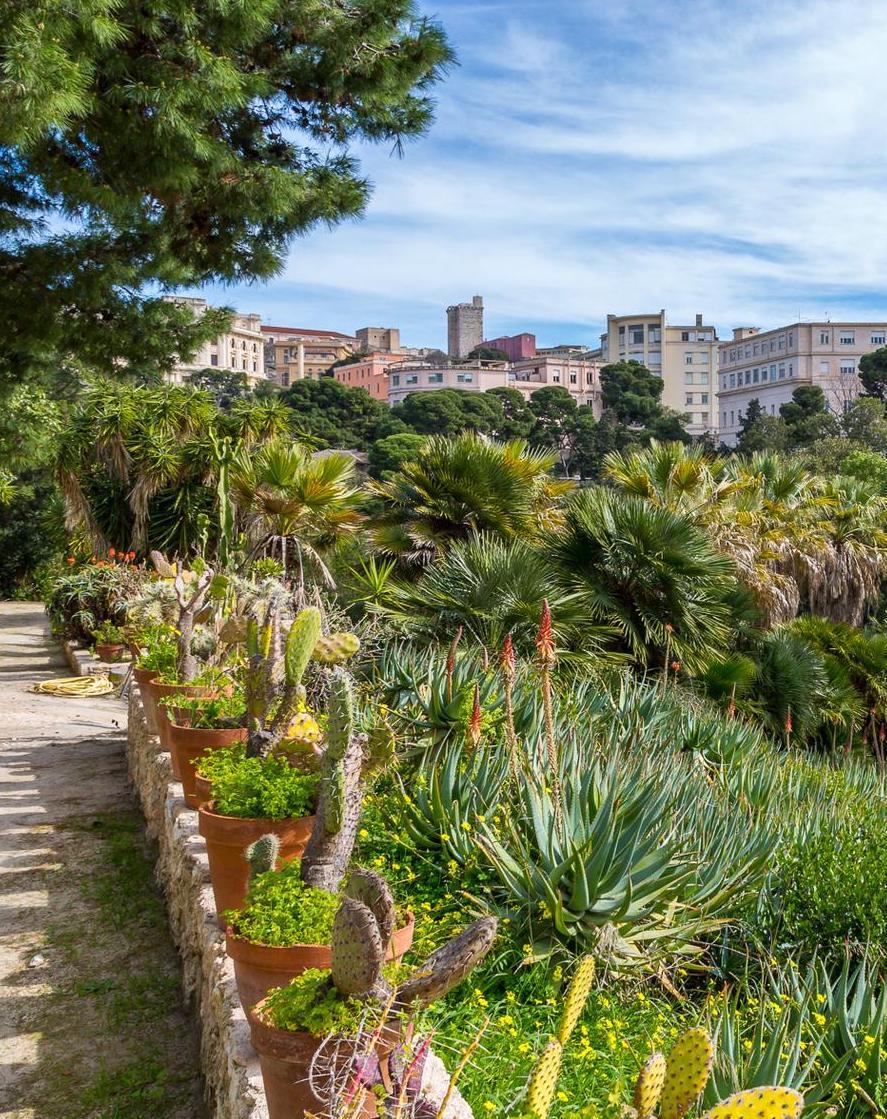 Orto Botanico